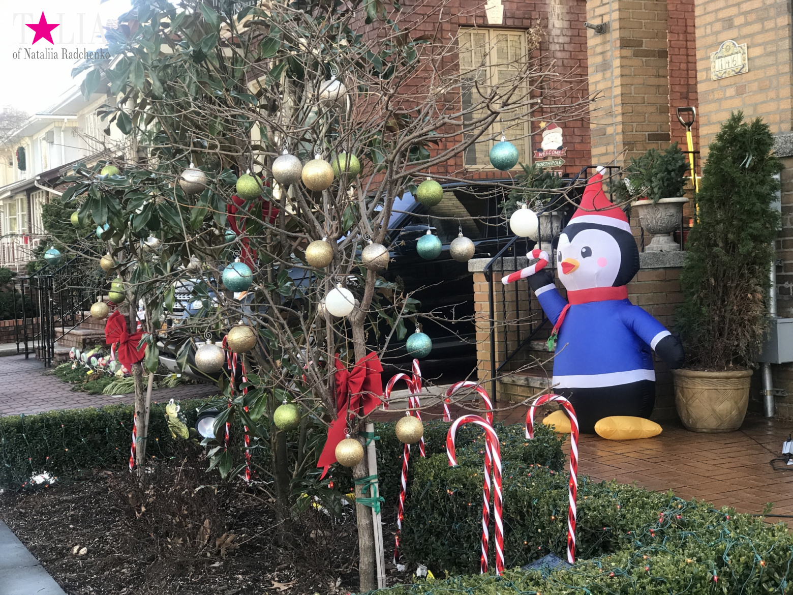 How I make materials for my blog + a little bit more of New Year's Bay Ridge