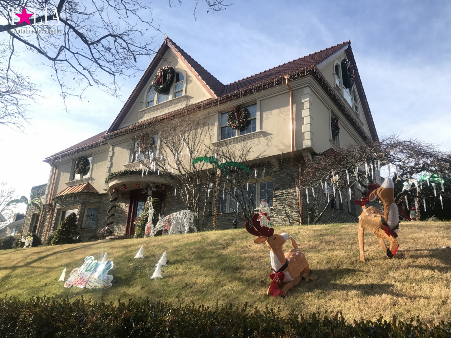 How I make materials for my blog + a little bit more of New Year's Bay Ridge