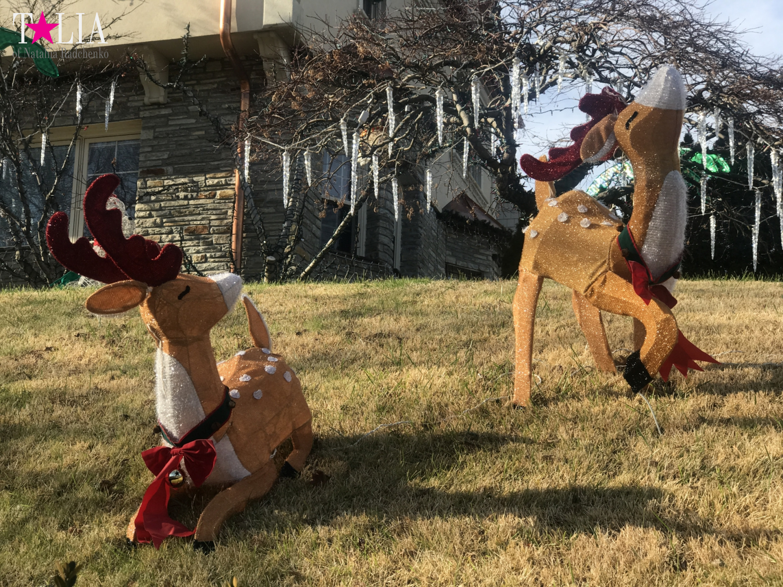 How I make materials for my blog + a little bit more of New Year's Bay Ridge