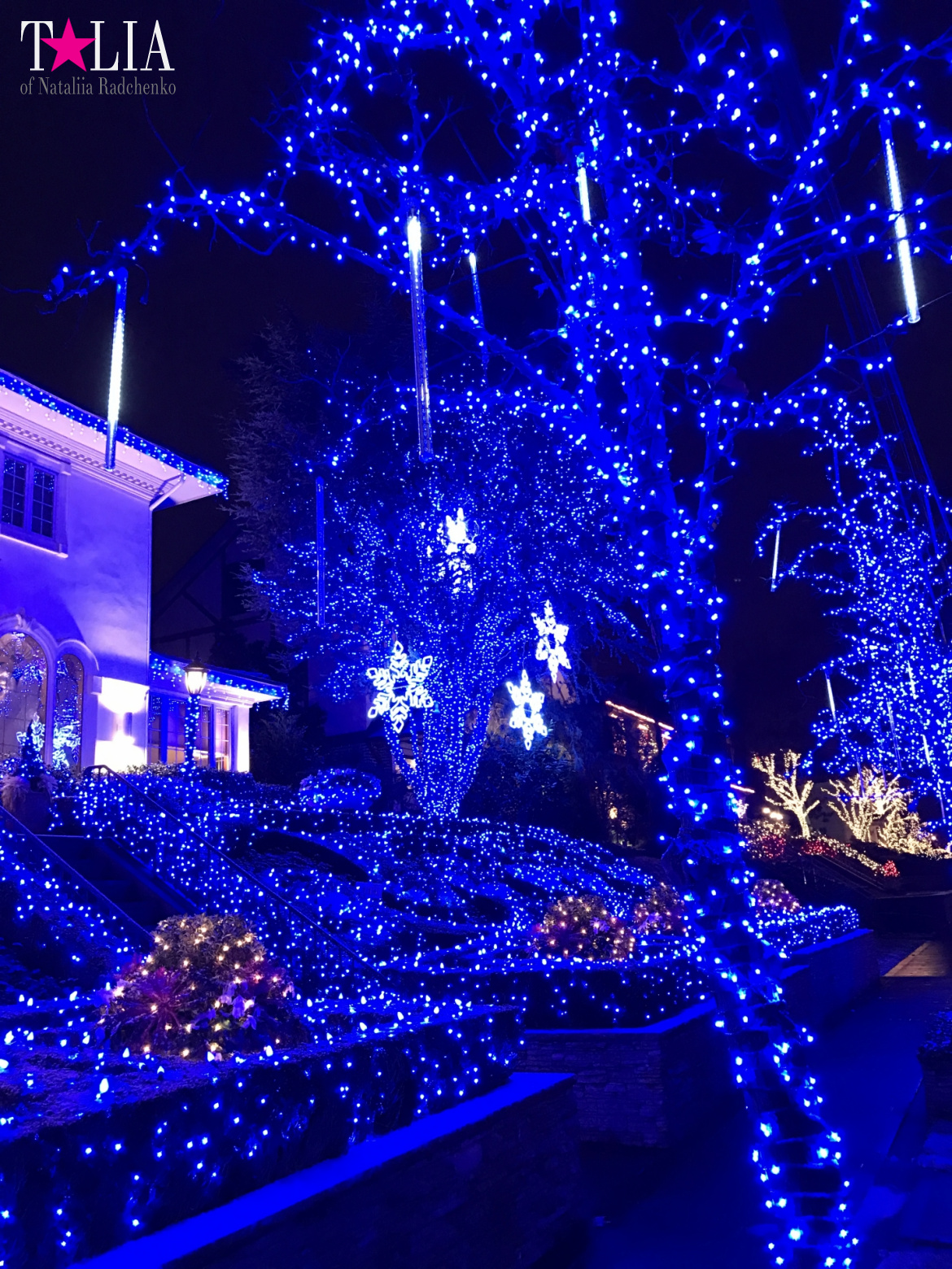 Preparation of New York for Christmas and New Year 2017. Manhattan + Bay Ridge