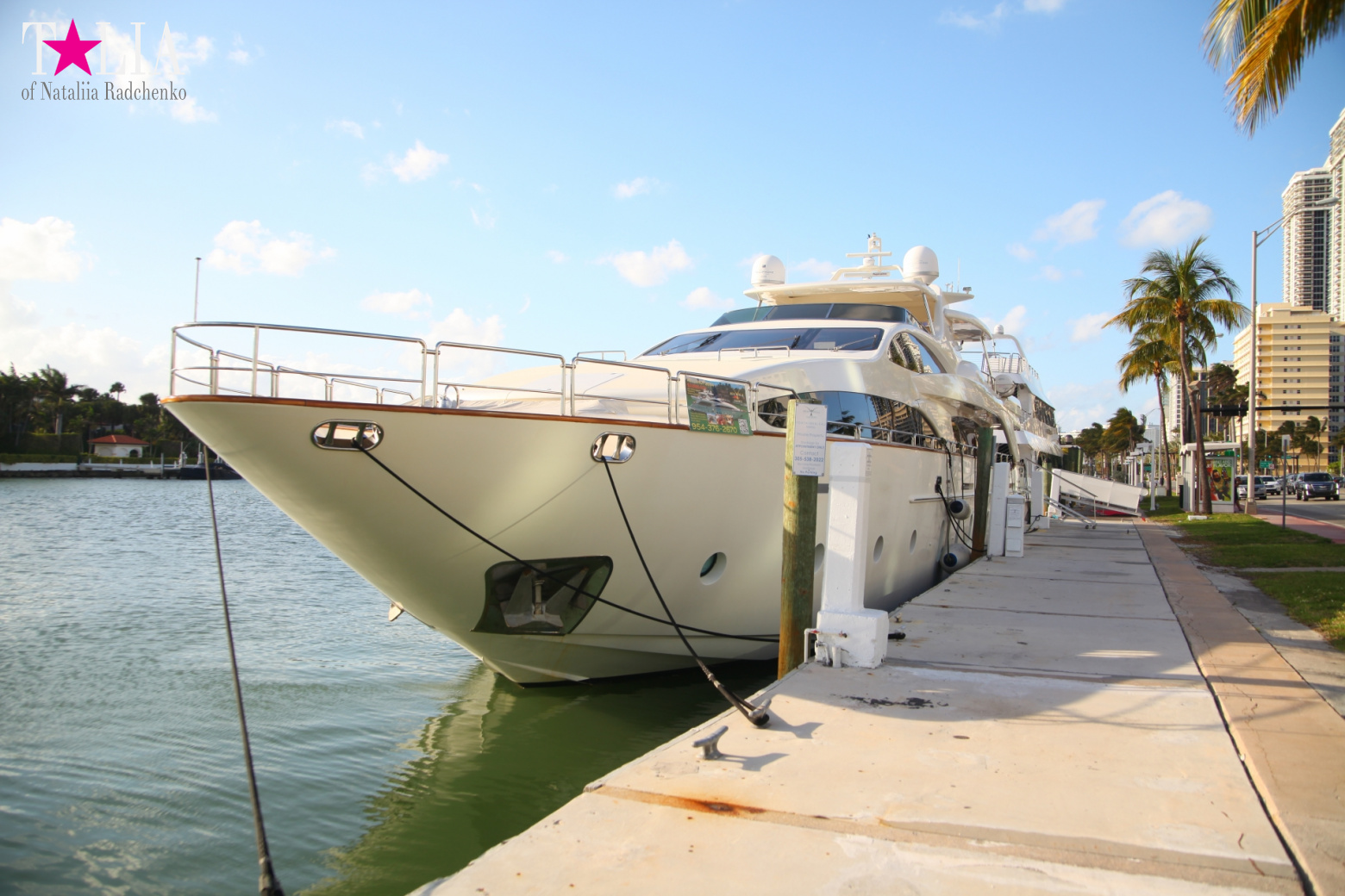 Yachts, Palms, Bay - The promenade of Middle Miami Beach, Collins Avenue