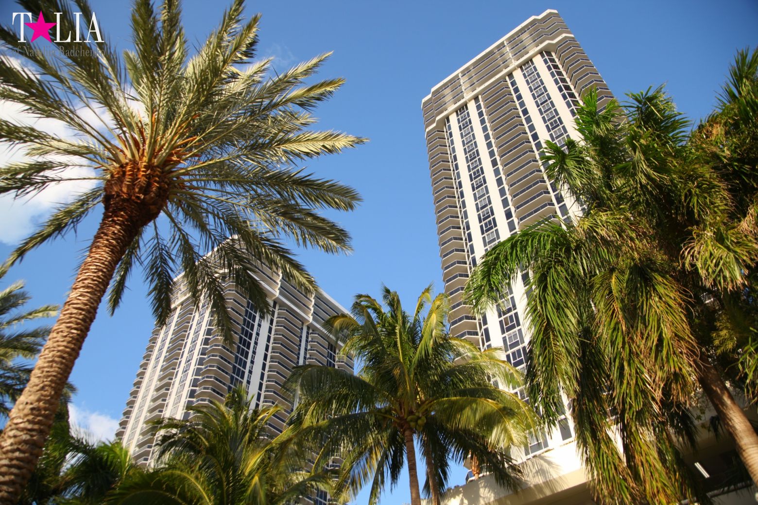 Yachts, Palms, Bay - The promenade of Middle Miami Beach, Collins Avenue