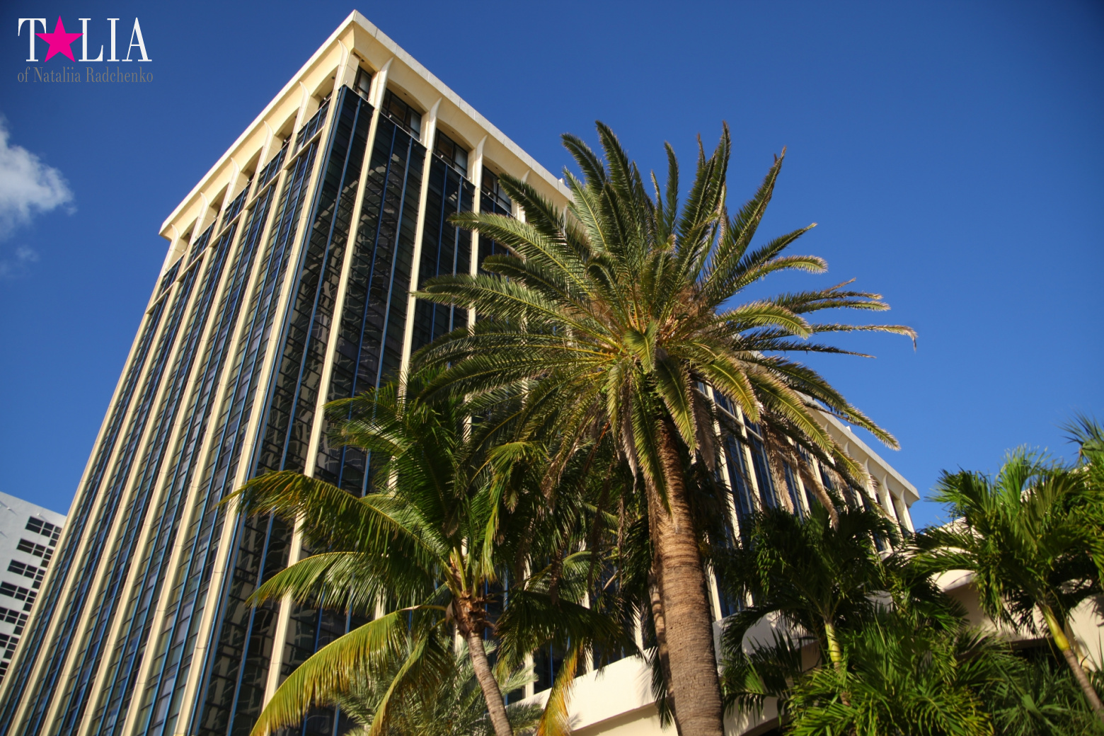 Yachts, Palms, Bay - The promenade of Middle Miami Beach, Collins Avenue