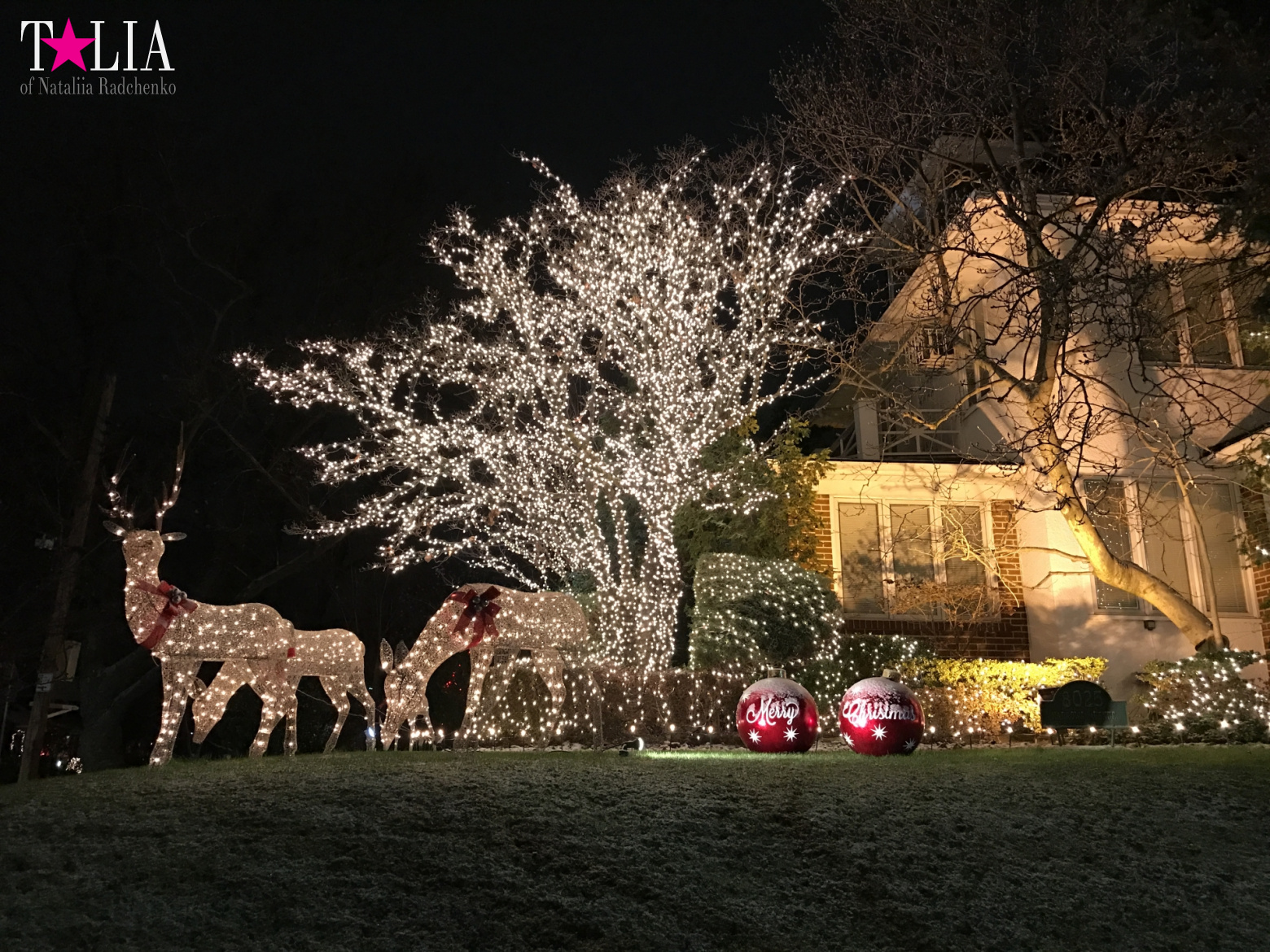 Preparation of New York for Christmas and New Year 2017. Manhattan + Bay Ridge