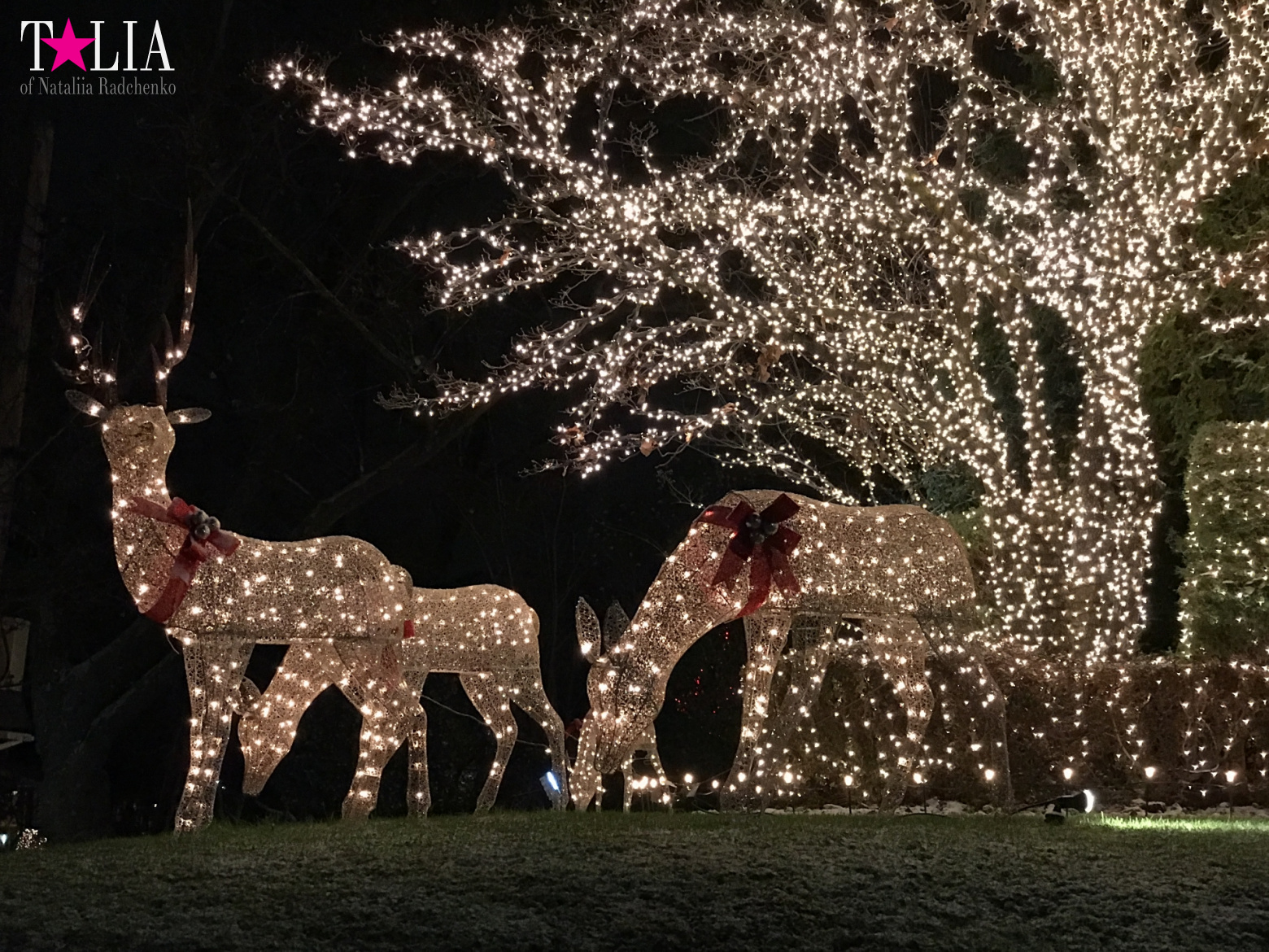 Preparation of New York for Christmas and New Year 2017. Manhattan + Bay Ridge