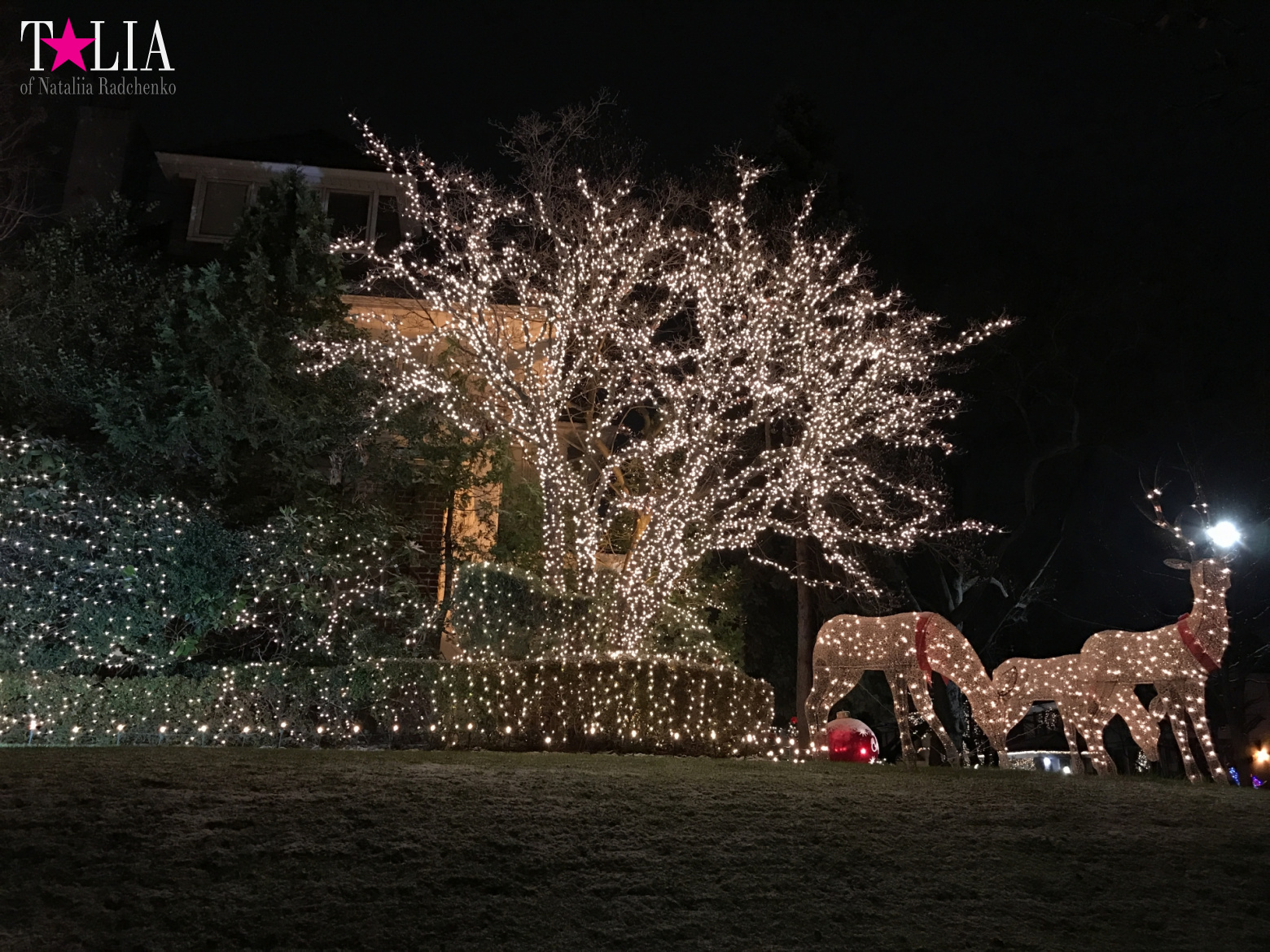 Preparation of New York for Christmas and New Year 2017. Manhattan + Bay Ridge