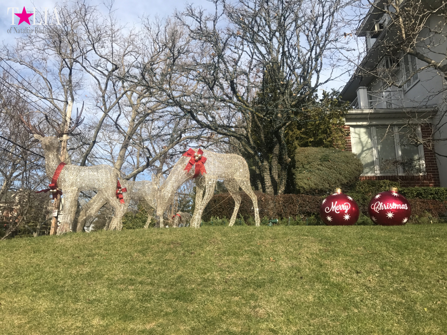 How I make materials for my blog + a little bit more of New Year's Bay Ridge