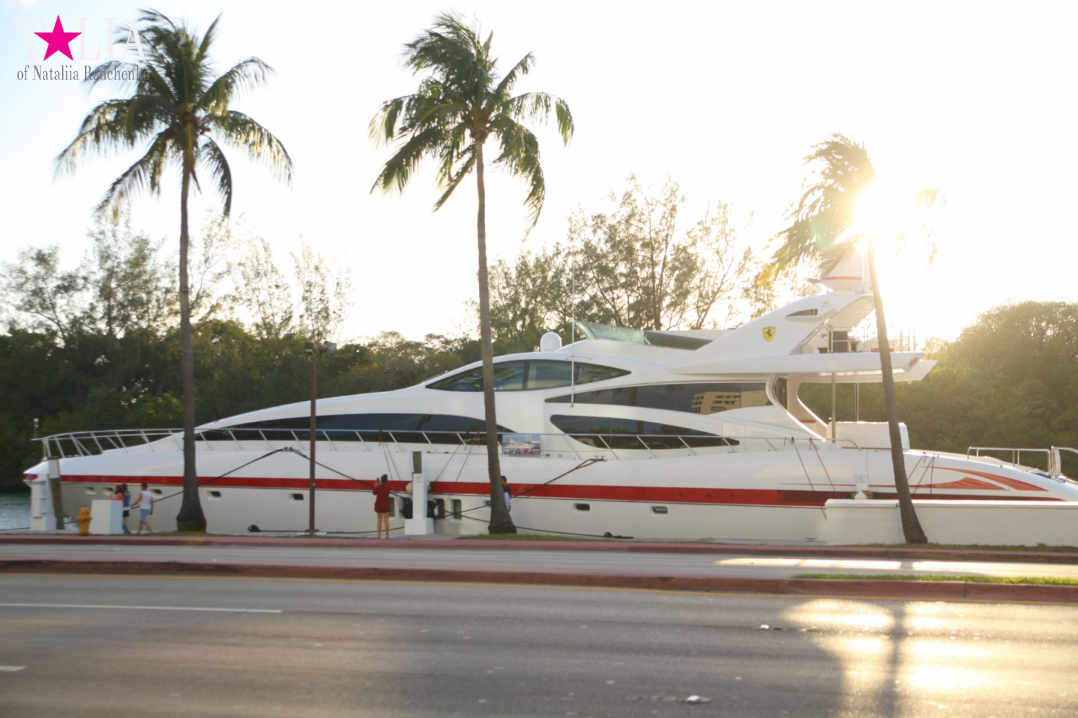 Yachts, Palms, Bay - The promenade of Middle Miami Beach, Collins Avenue