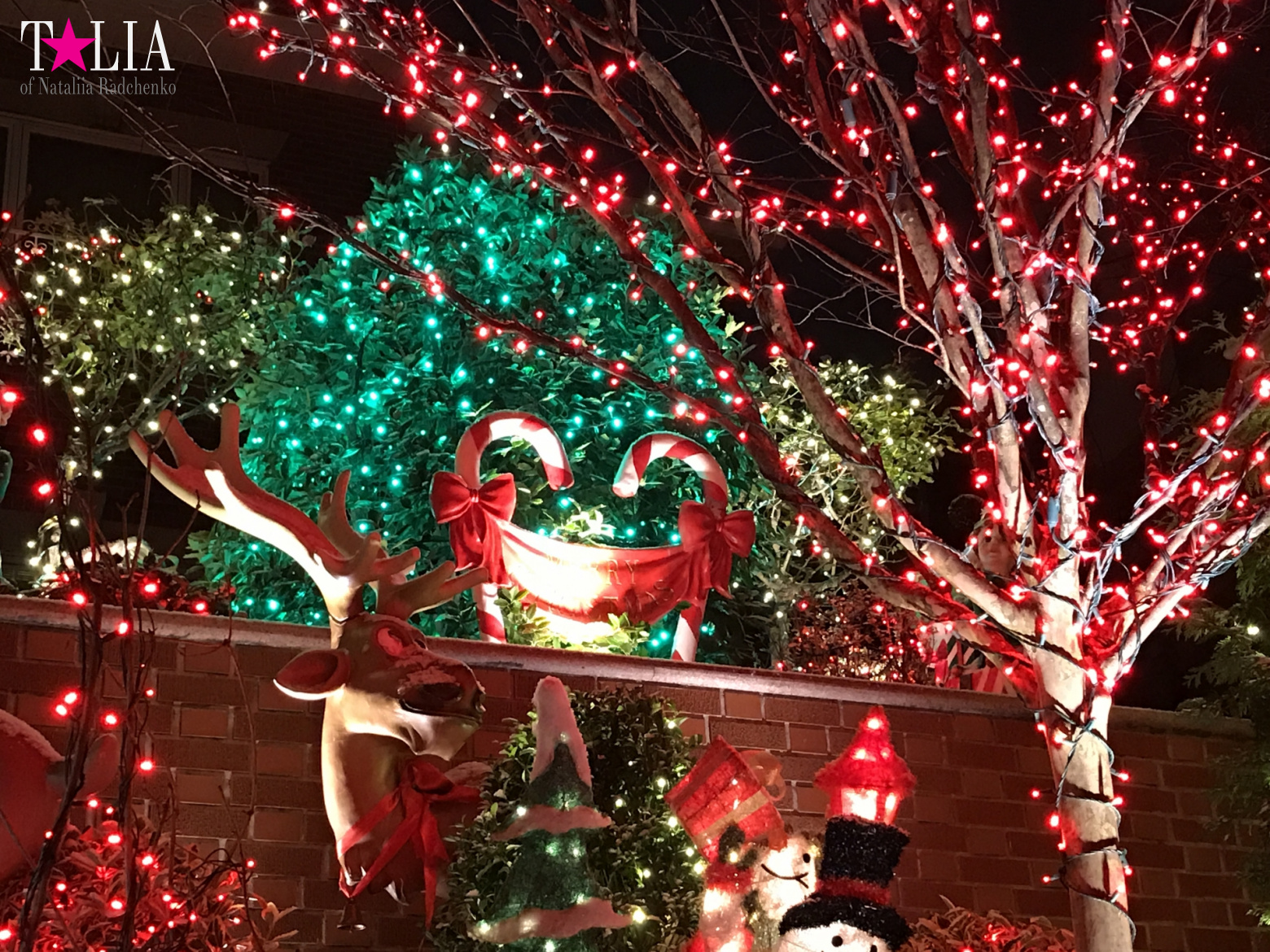 Preparation of New York for Christmas and New Year 2017. Manhattan + Bay Ridge