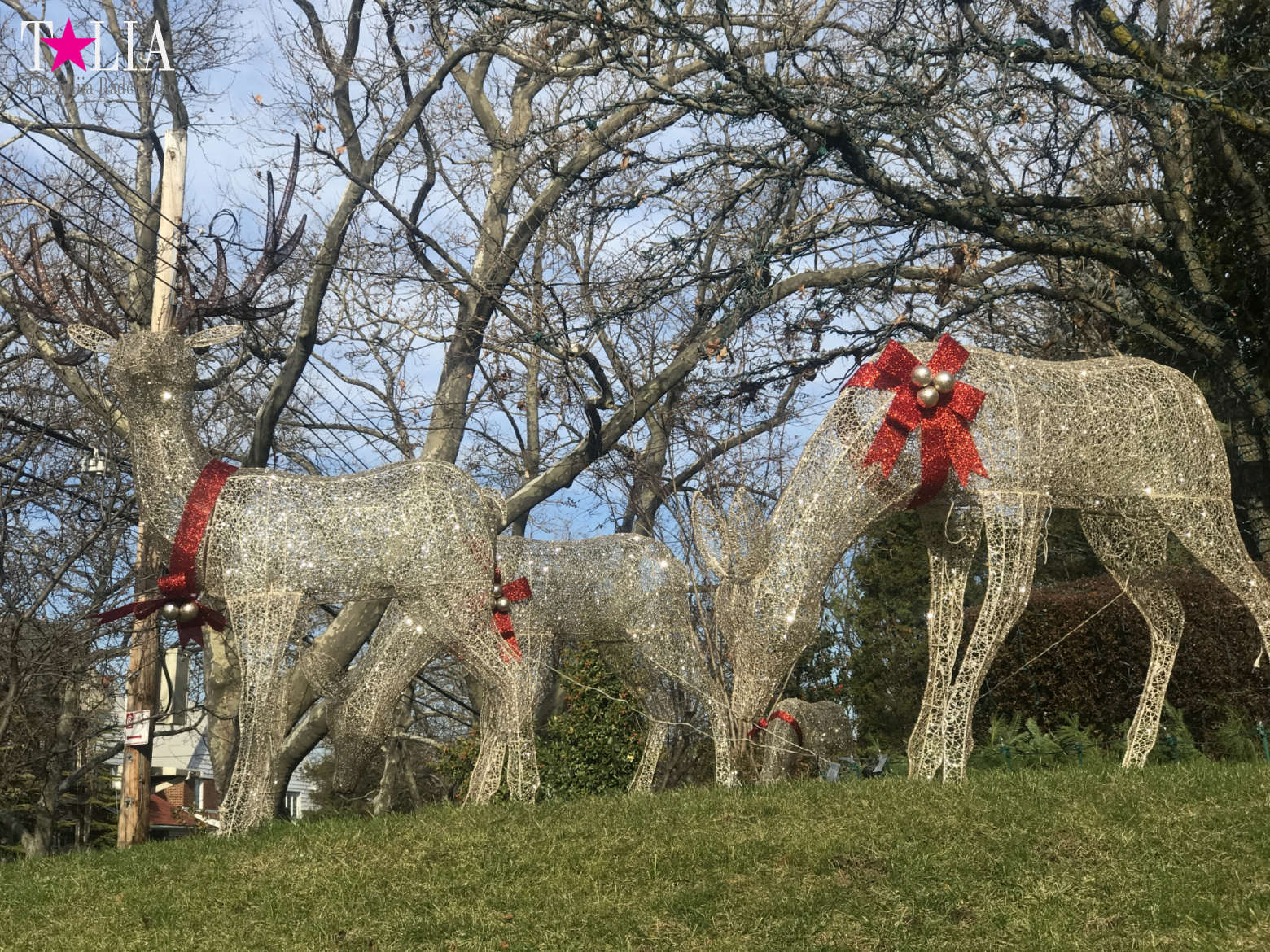 How I make materials for my blog + a little bit more of New Year's Bay Ridge