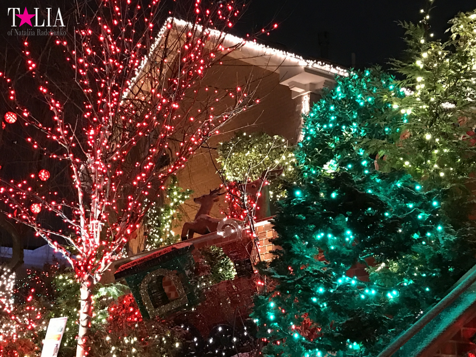 Preparation of New York for Christmas and New Year 2017. Manhattan + Bay Ridge