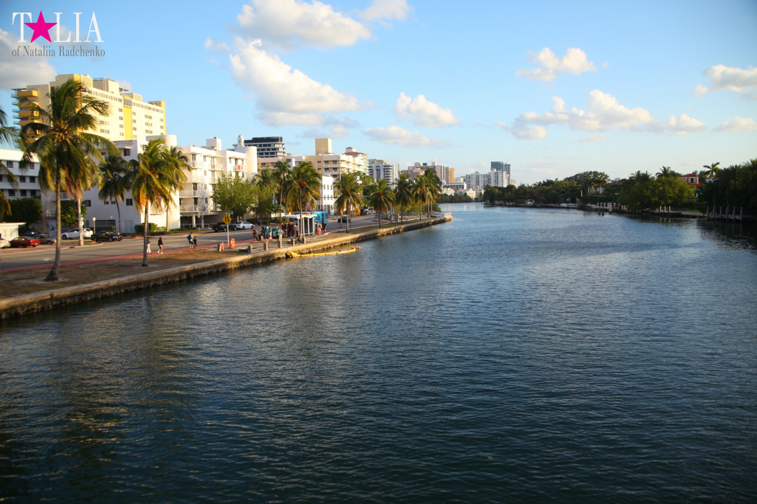 Yachts, Palms, Bay - The promenade of Middle Miami Beach, Collins Avenue
