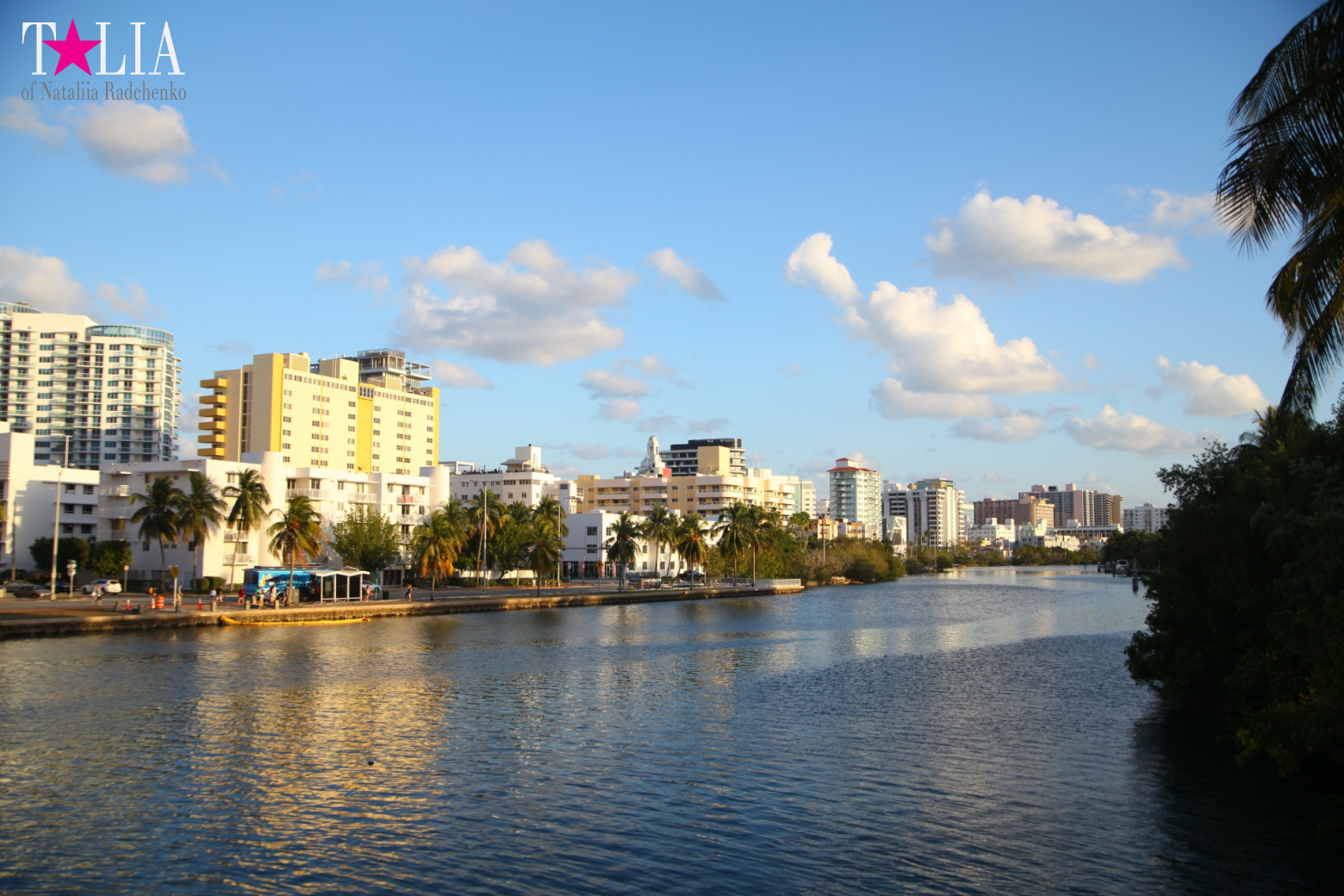 Yachts, Palms, Bay - The promenade of Middle Miami Beach, Collins Avenue