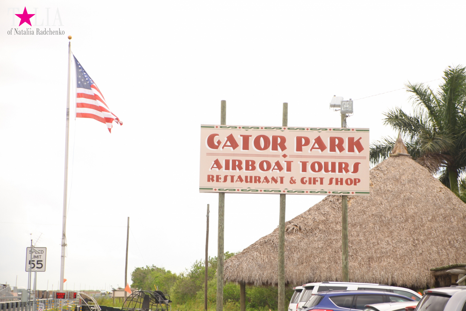 Катание на лодках по болоту с крокодилами в Gator Park, Эверглейдс, Майами