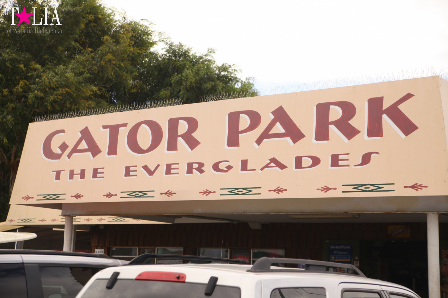 Катание на лодках по болоту с крокодилами в Gator Park, Эверглейдс, Майами