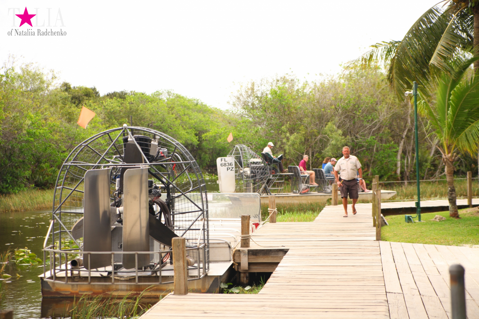 Катание на лодках по болоту с крокодилами в Gator Park, Эверглейдс, Майами