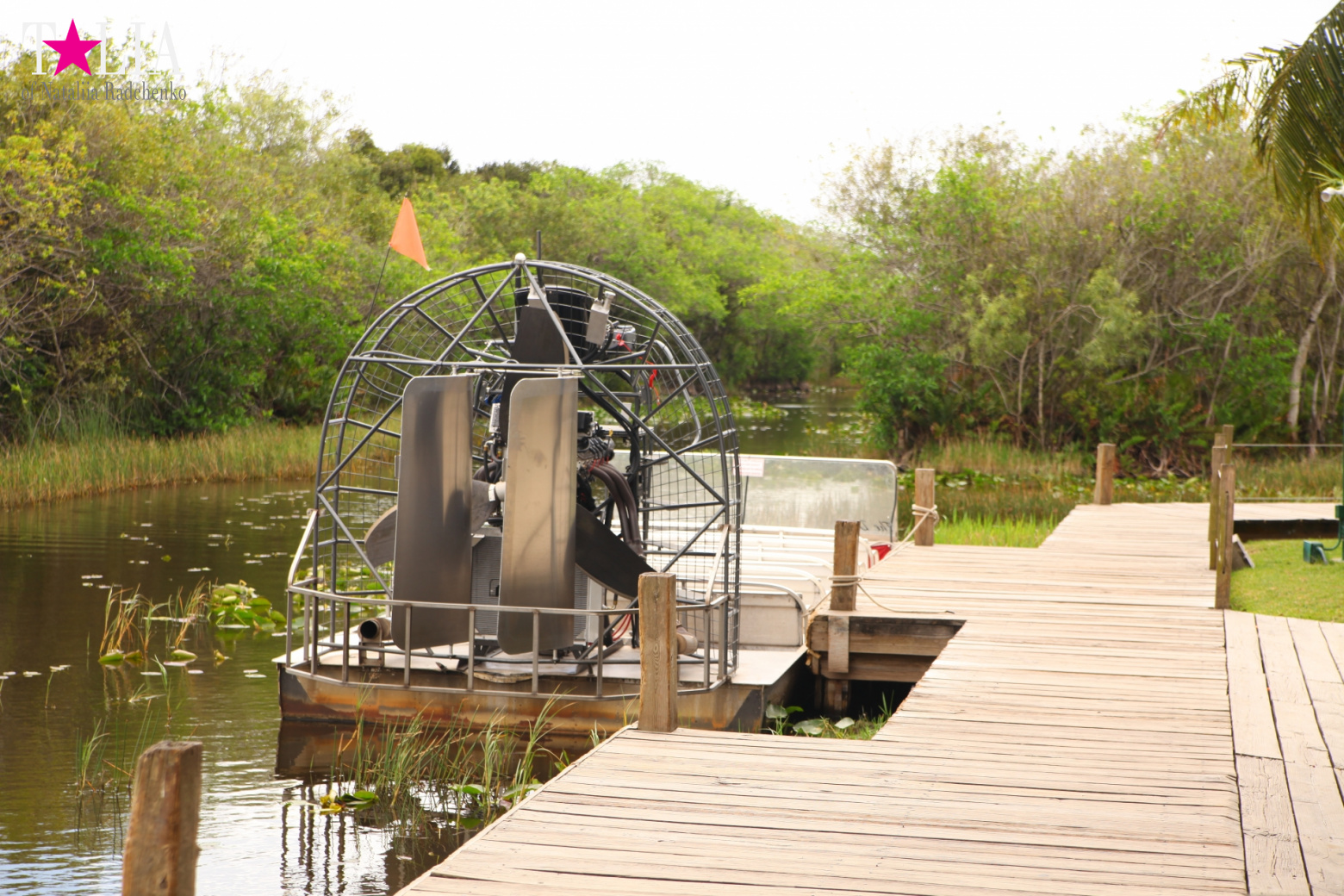 Катание на лодках по болоту с крокодилами в Gator Park, Эверглейдс, Майами