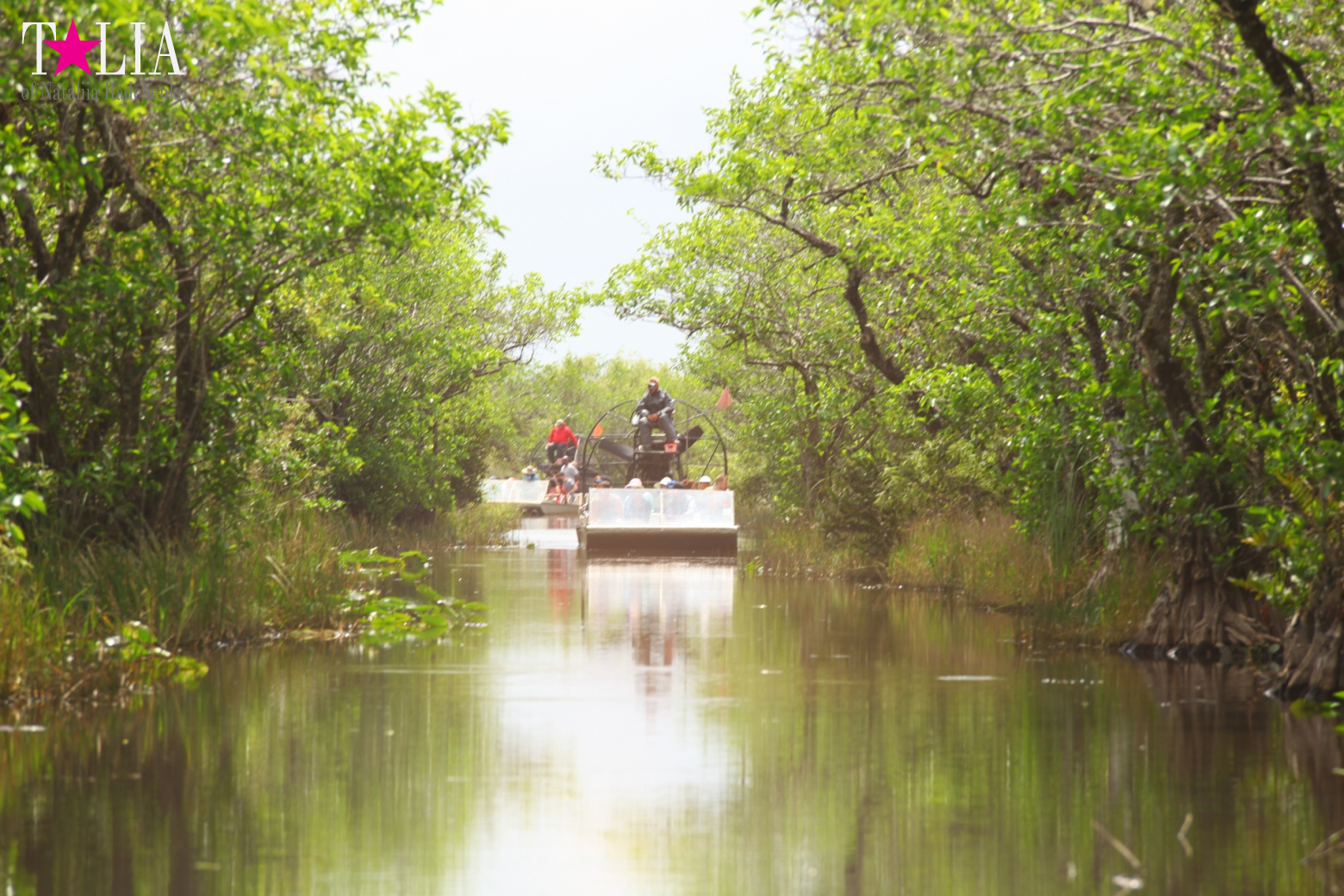 Катание на лодках по болоту с крокодилами в Gator Park, Эверглейдс, Майами