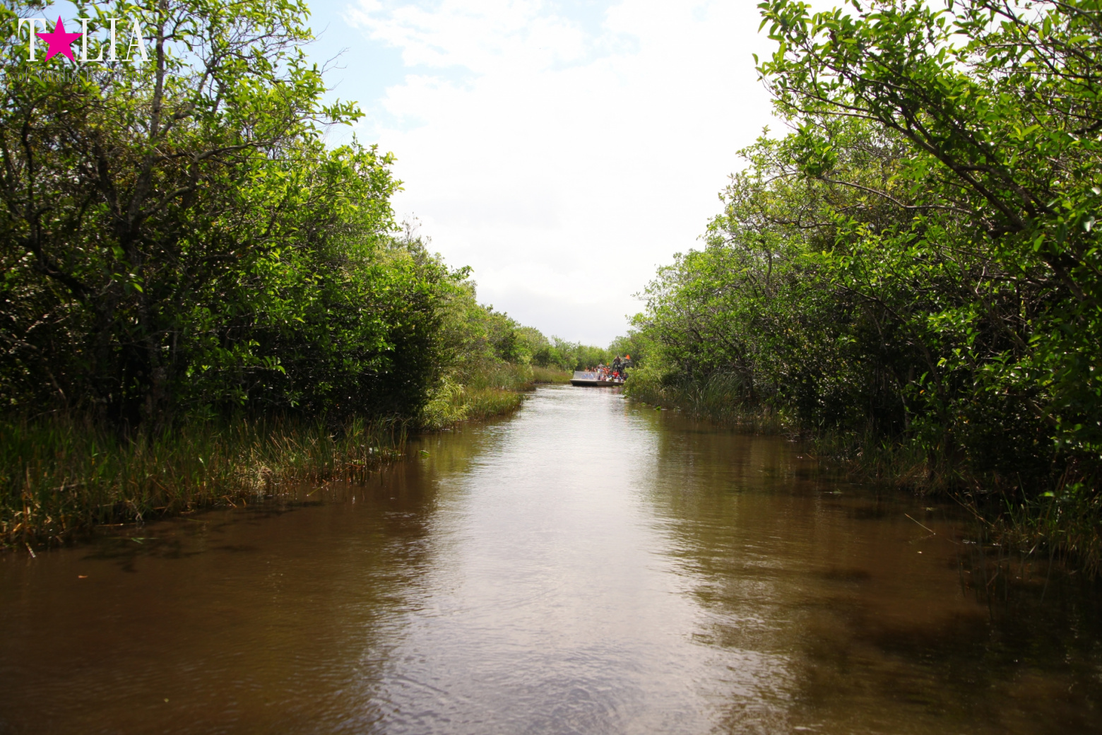 Катание на лодках по болоту с крокодилами в Gator Park, Эверглейдс, Майами