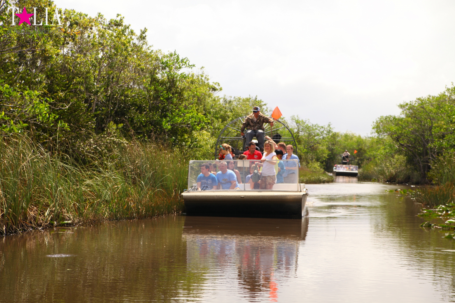 Катание на лодках по болоту с крокодилами в Gator Park, Эверглейдс, Майами