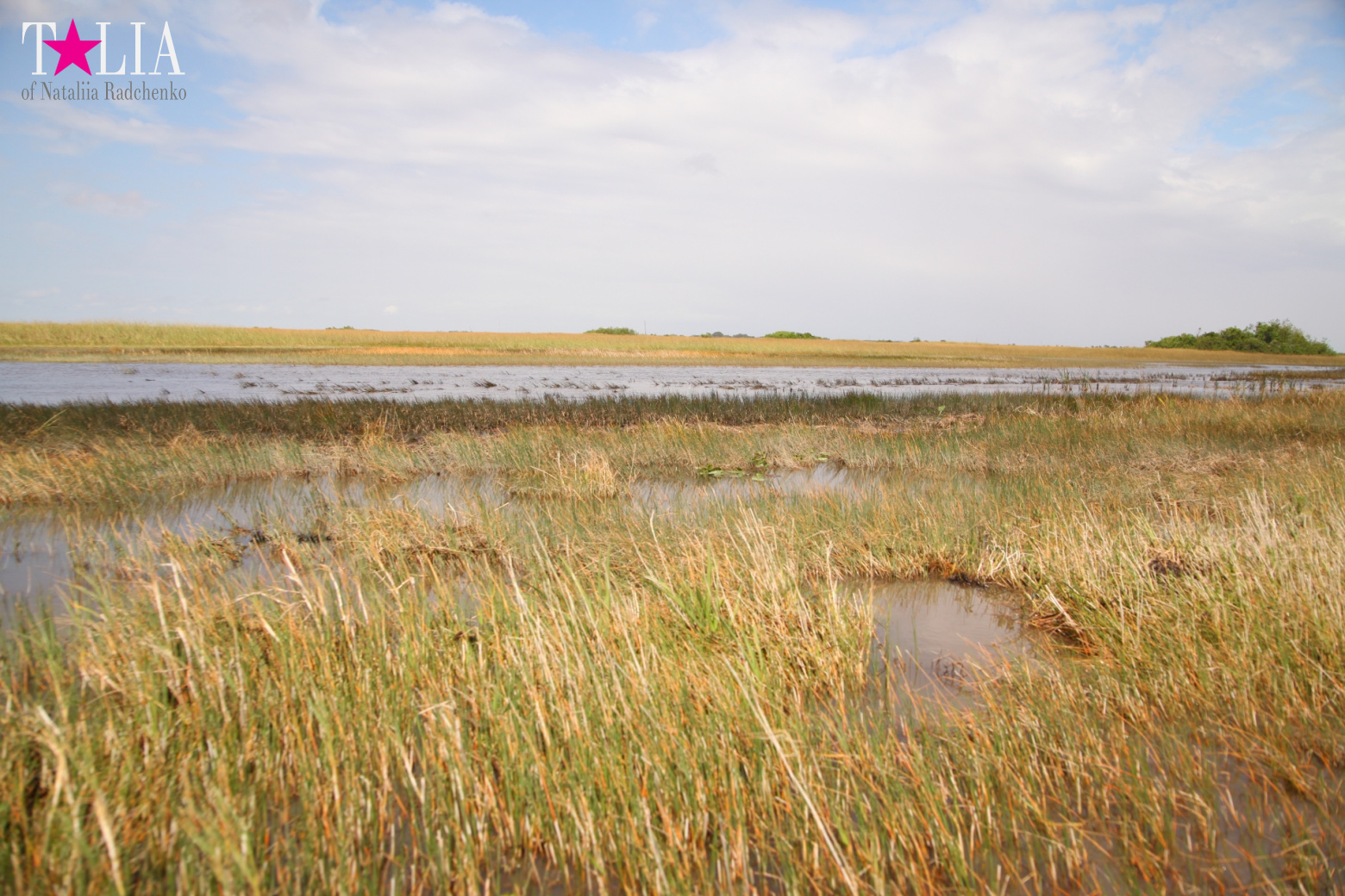 Катание на лодках по болоту с крокодилами в Gator Park, Эверглейдс, Майами