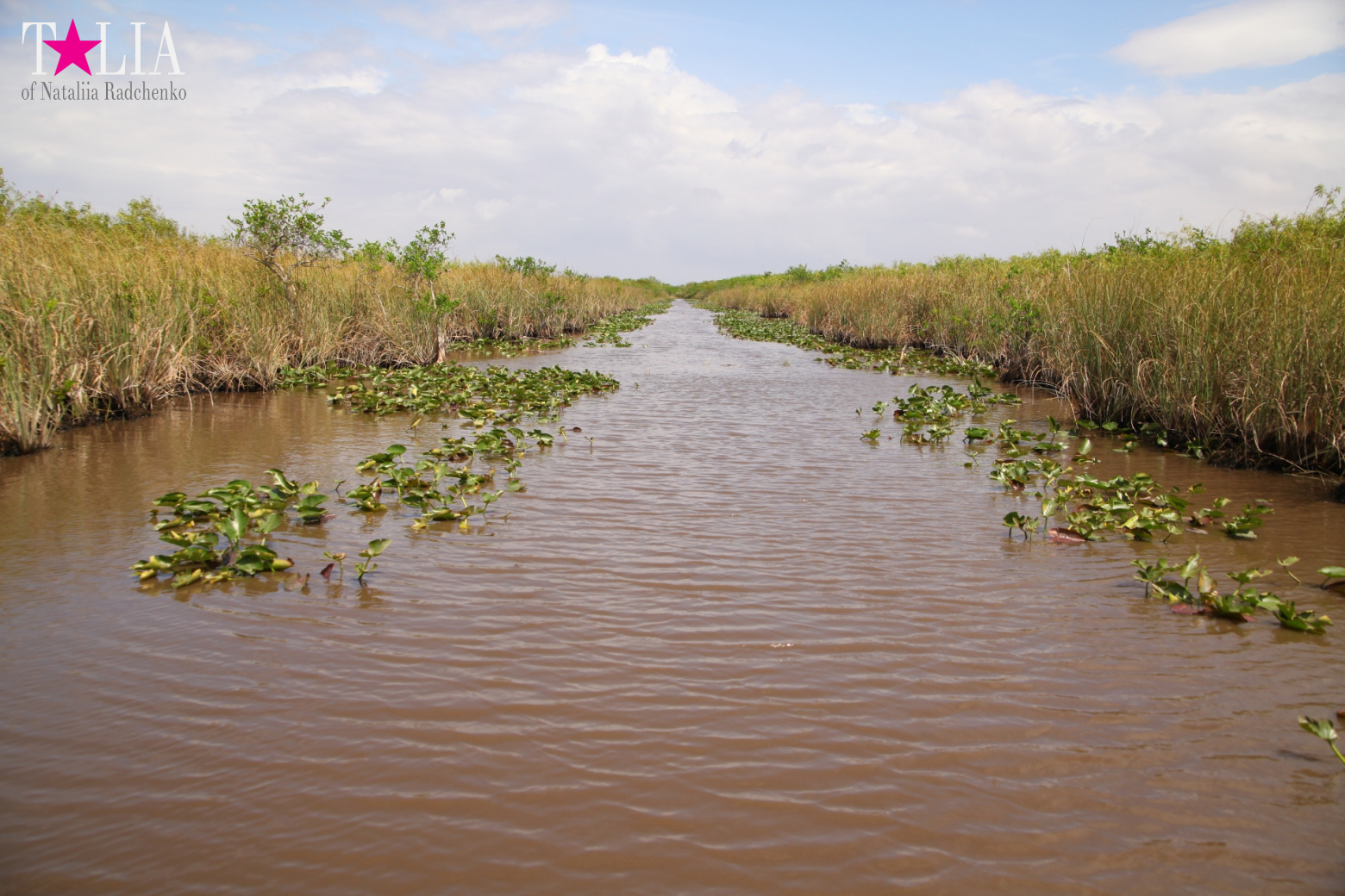 Катание на лодках по болоту с крокодилами в Gator Park, Эверглейдс, Майами