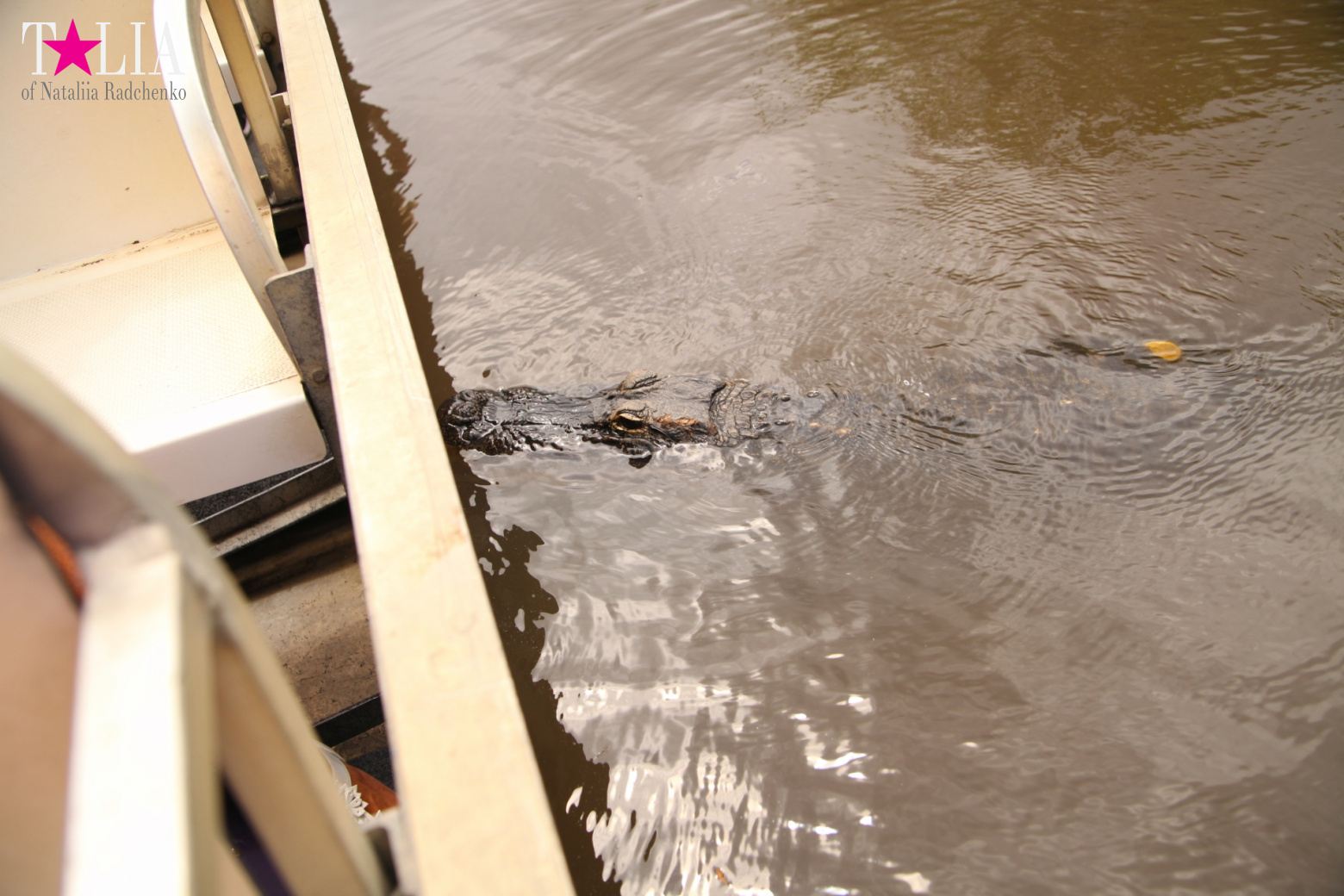 Катание на лодках по болоту с крокодилами в Gator Park, Эверглейдс, Майами