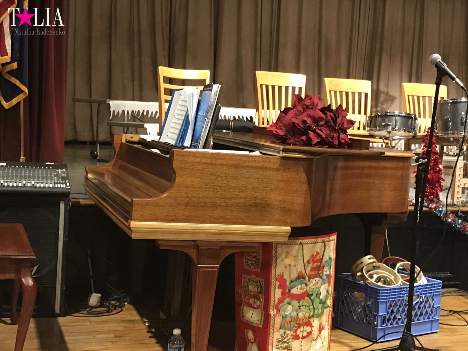 Новогоднее шоу в американской школе "Holiday show". Бэй Ридж, Нью-Йорк