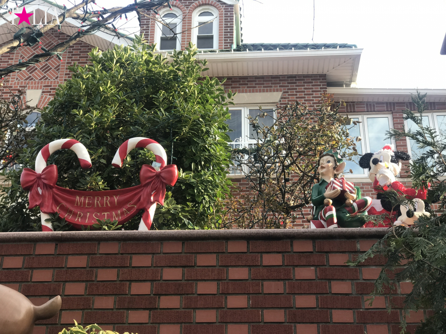 How I make materials for my blog + a little bit more of New Year's Bay Ridge