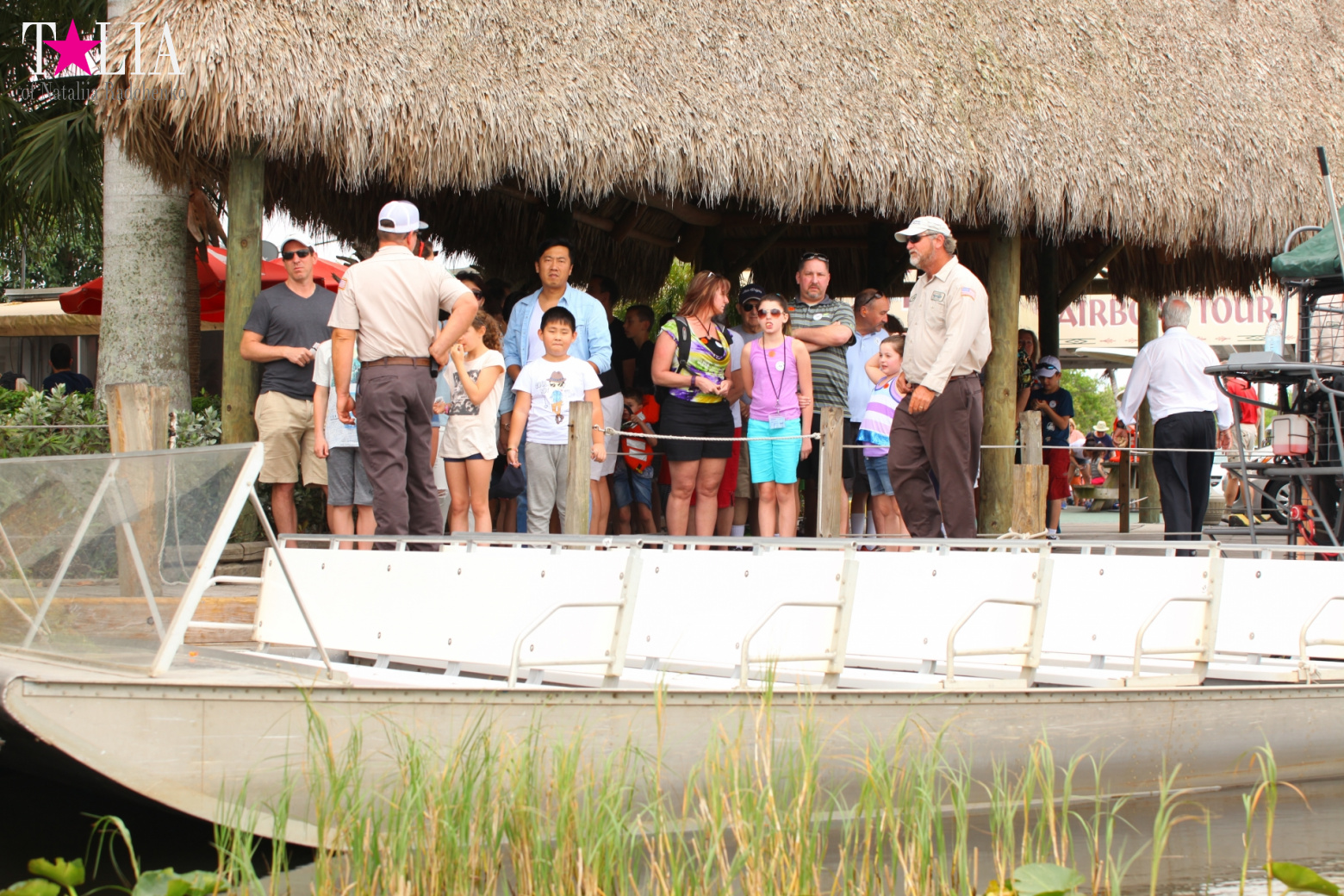Катание на лодках по болоту с крокодилами в Gator Park, Эверглейдс, Майами