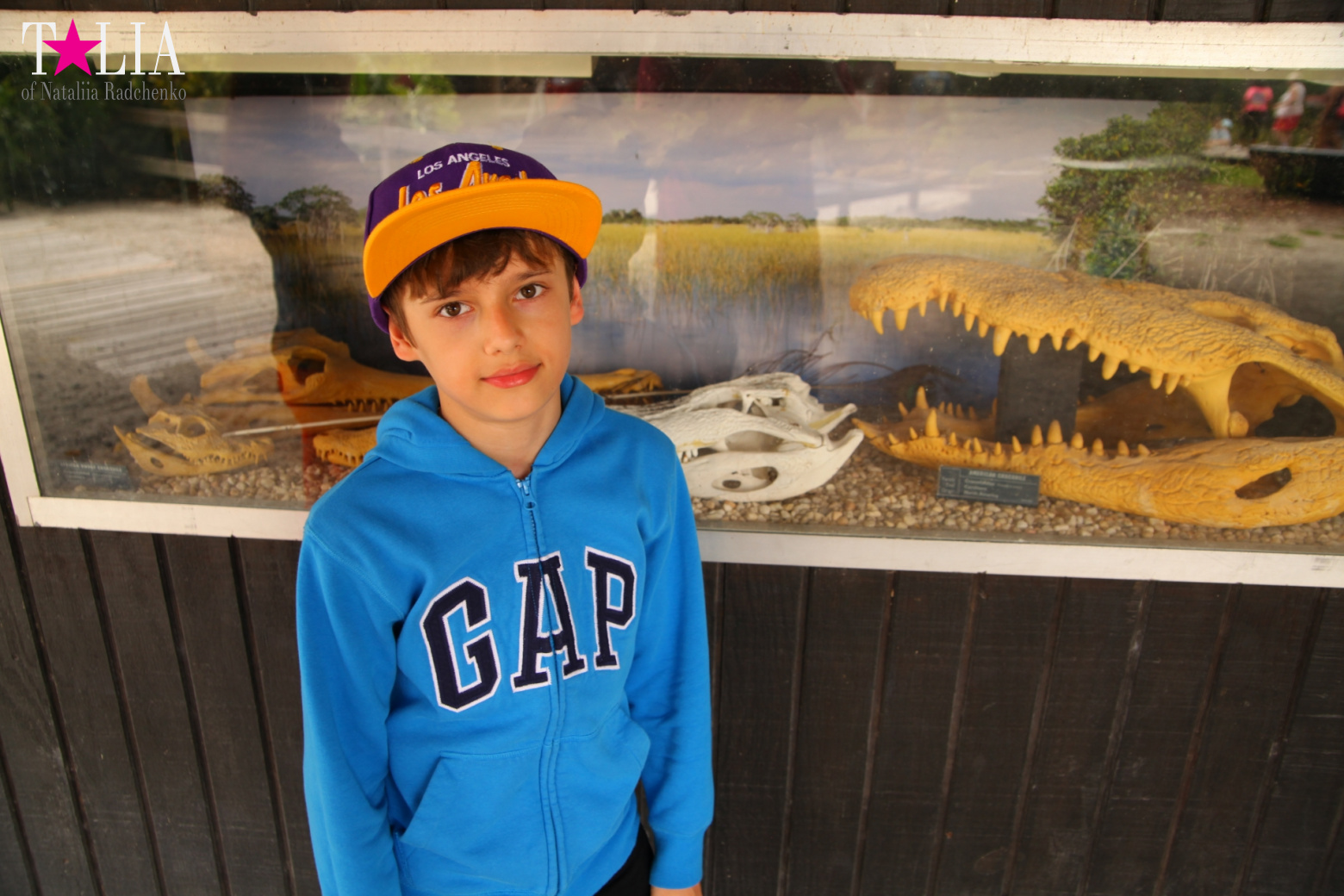 The show with crocodiles and other entertainments of Gator Park, Everglades, Miami