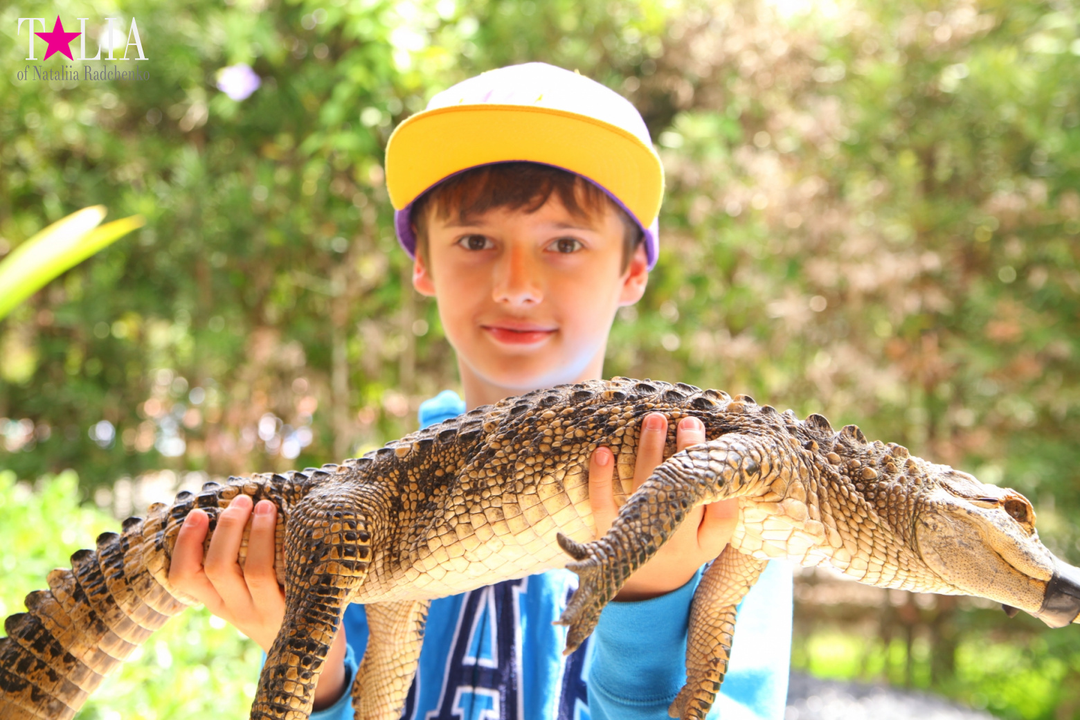 The show with crocodiles and other entertainments of Gator Park, Everglades, Miami