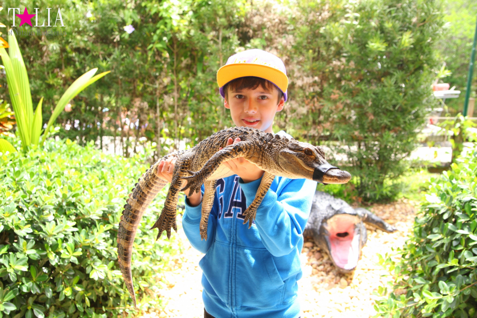 The show with crocodiles and other entertainments of Gator Park, Everglades, Miami