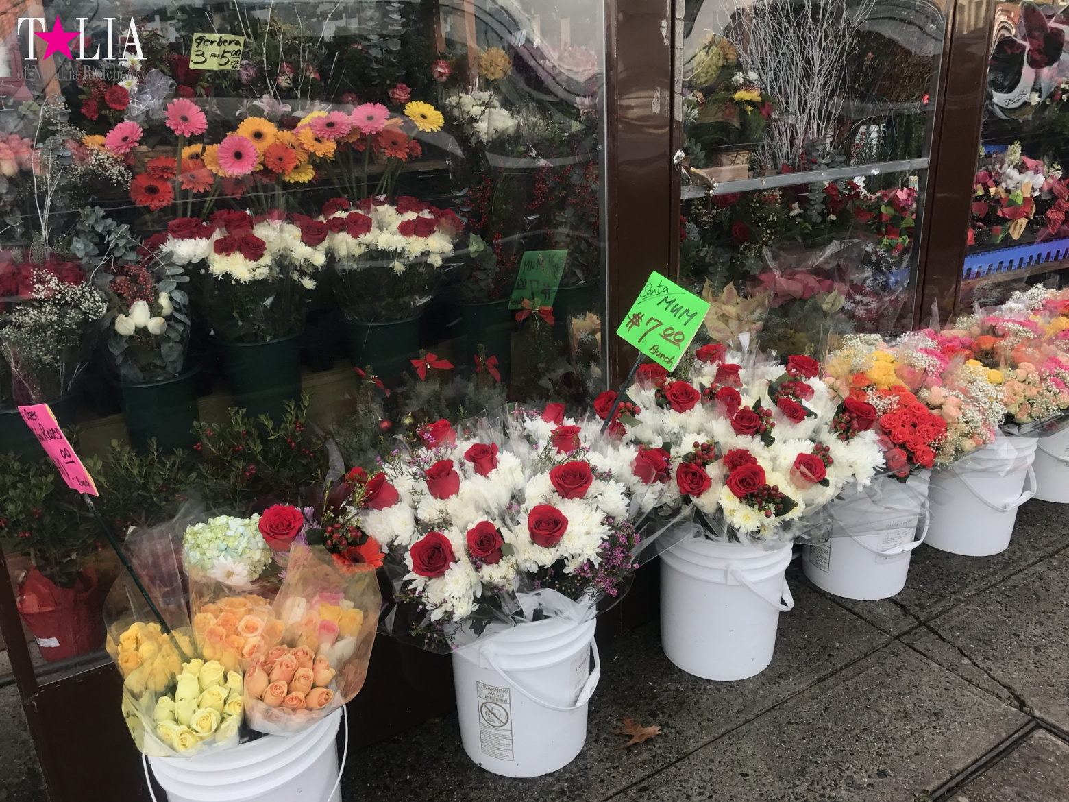 How I make materials for my blog + a little bit more of New Year's Bay Ridge