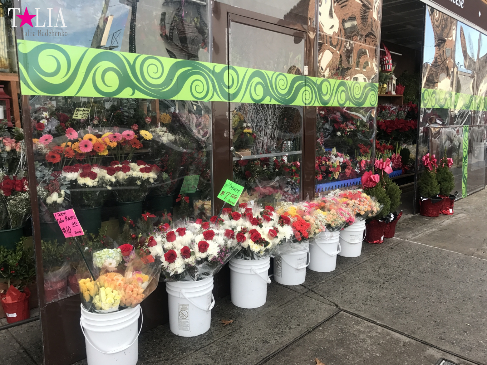 How I make materials for my blog + a little bit more of New Year's Bay Ridge