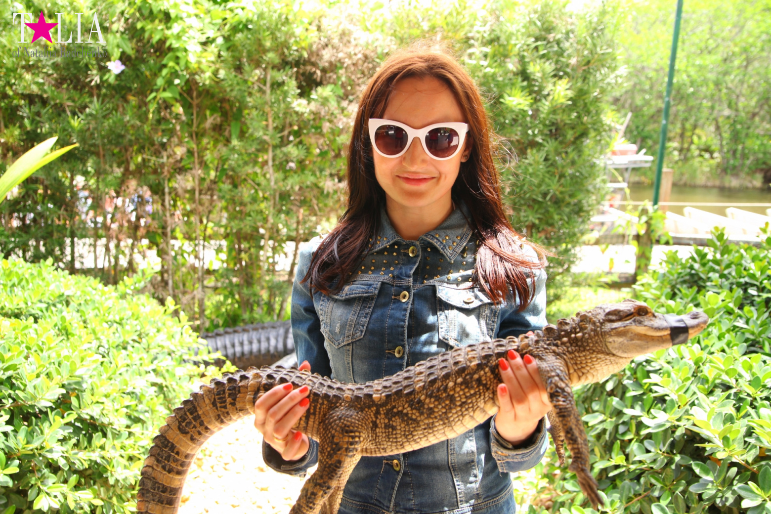 The show with crocodiles and other entertainments of Gator Park, Everglades, Miami