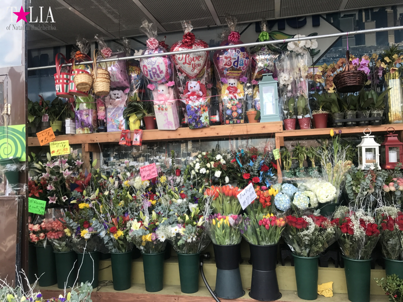 How I make materials for my blog + a little bit more of New Year's Bay Ridge