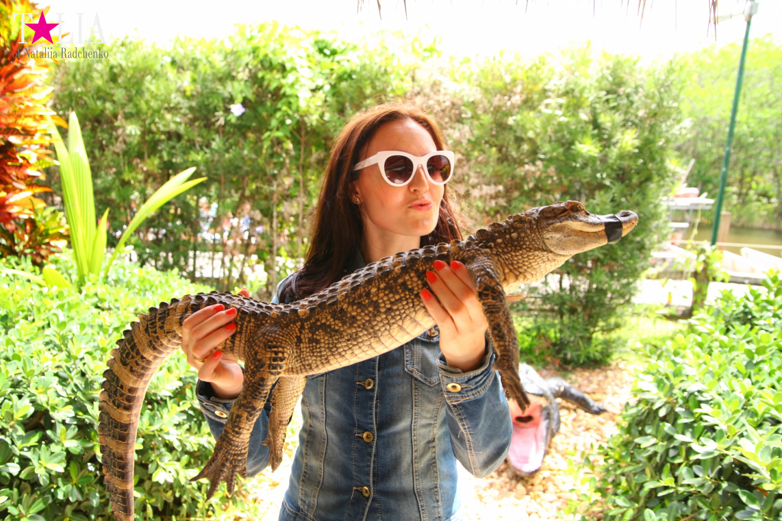 The show with crocodiles and other entertainments of Gator Park, Everglades, Miami