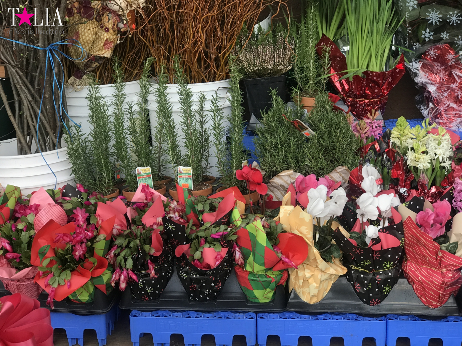 How I make materials for my blog + a little bit more of New Year's Bay Ridge