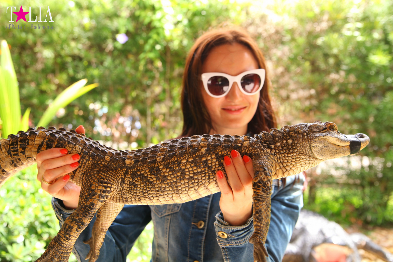 The show with crocodiles and other entertainments of Gator Park, Everglades, Miami