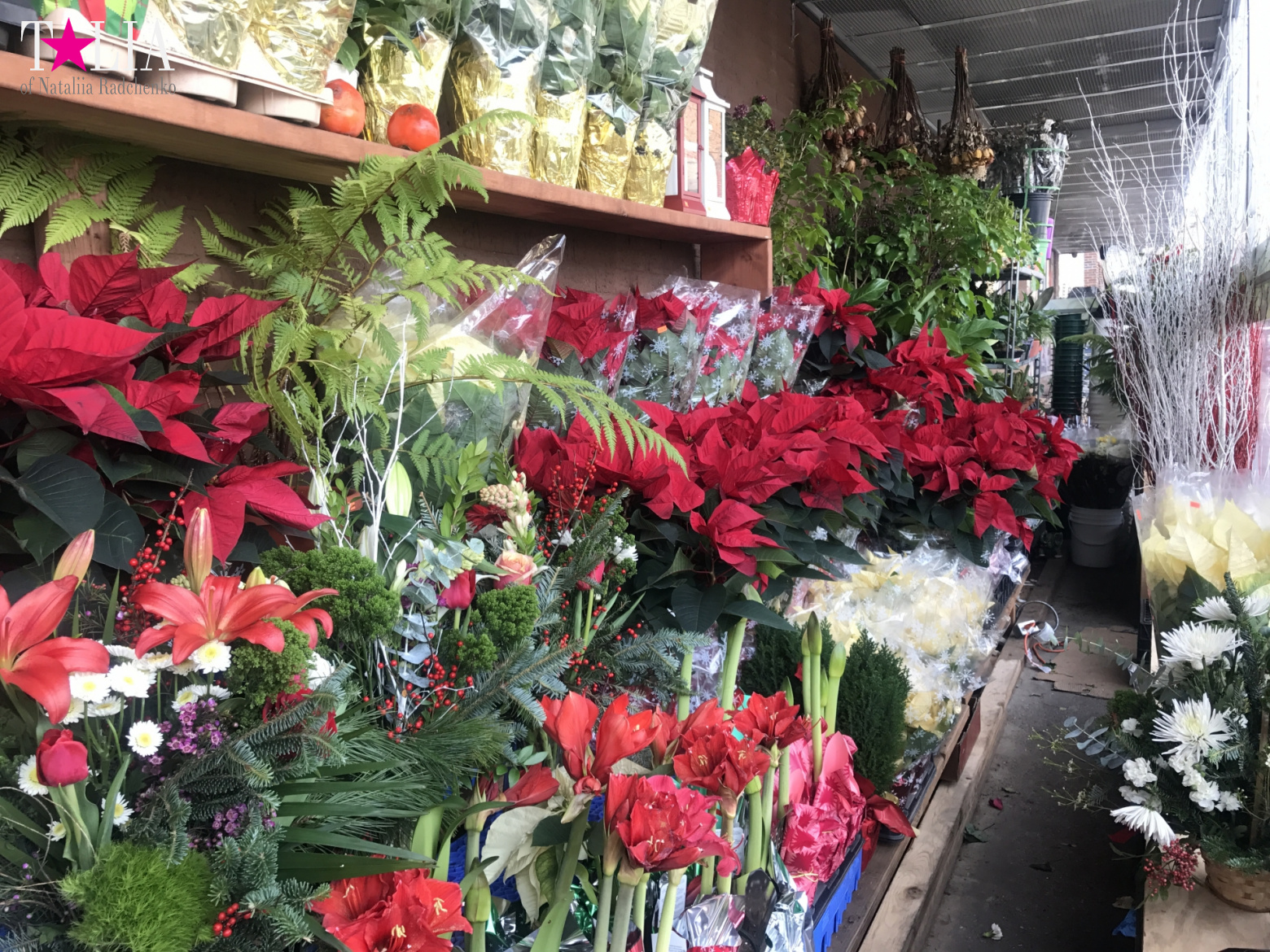 How I make materials for my blog + a little bit more of New Year's Bay Ridge