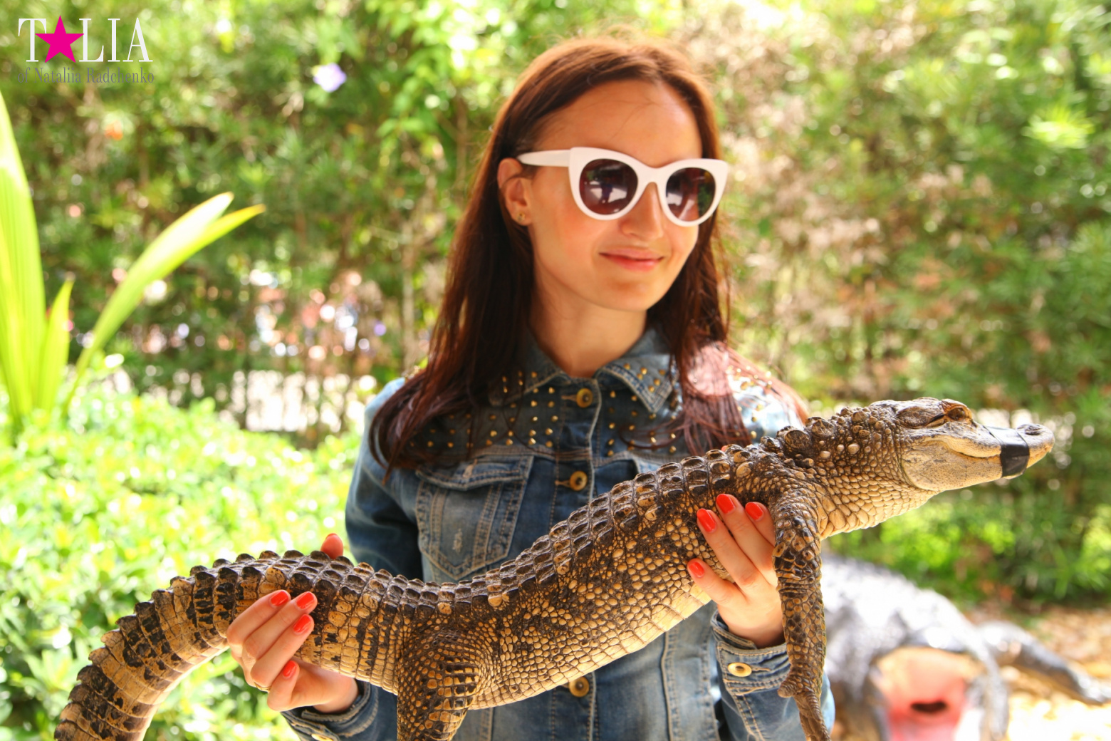 The show with crocodiles and other entertainments of Gator Park, Everglades, Miami
