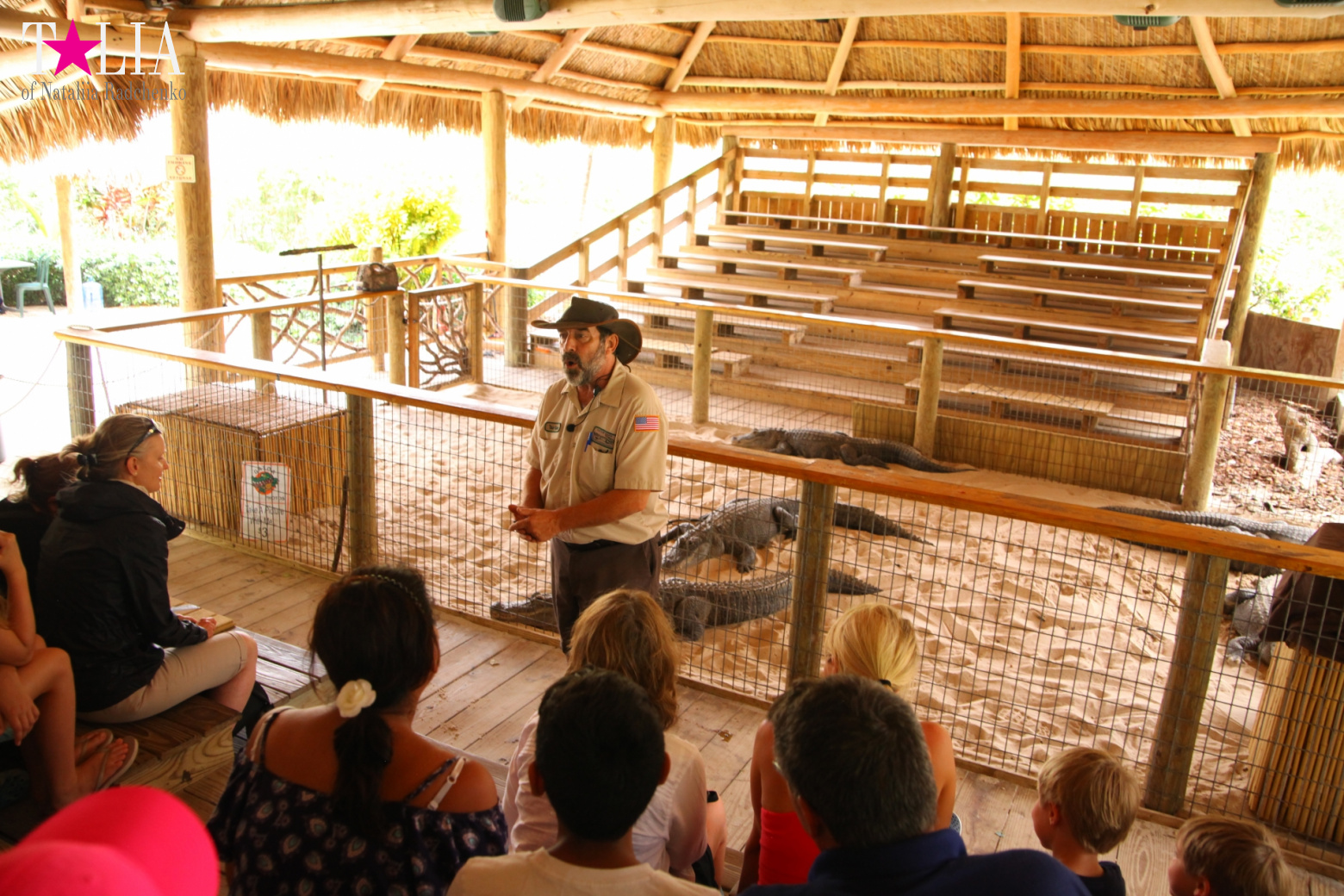 The show with crocodiles and other entertainments of Gator Park, Everglades, Miami