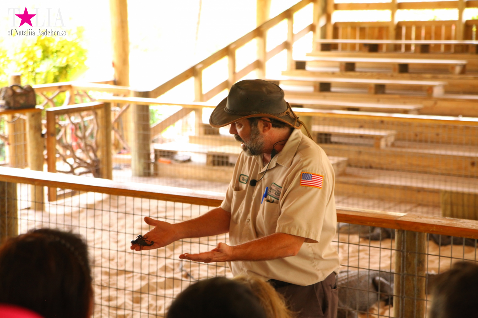 The show with crocodiles and other entertainments of Gator Park, Everglades, Miami