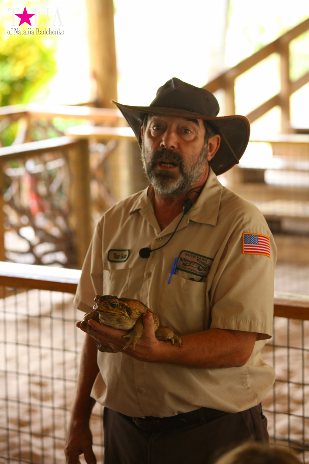 The show with crocodiles and other entertainments of Gator Park, Everglades, Miami