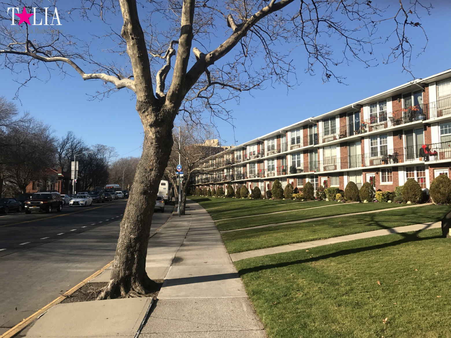 How I make materials for my blog + a little bit more of New Year's Bay Ridge