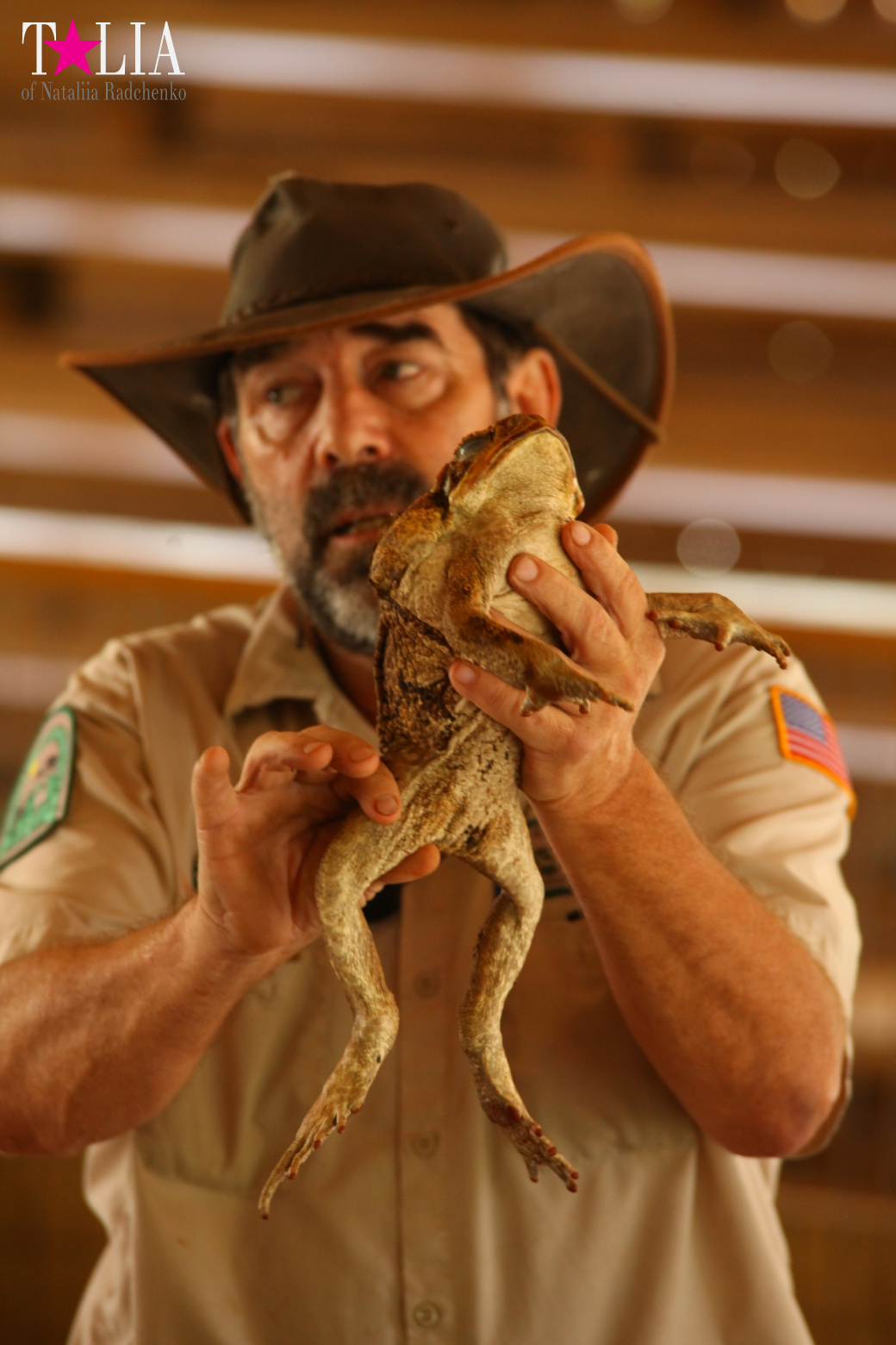 The show with crocodiles and other entertainments of Gator Park, Everglades, Miami