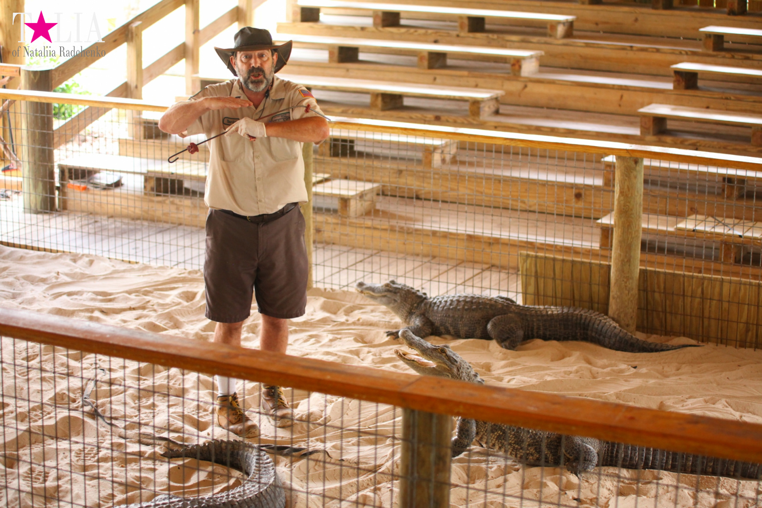 The show with crocodiles and other entertainments of Gator Park, Everglades, Miami