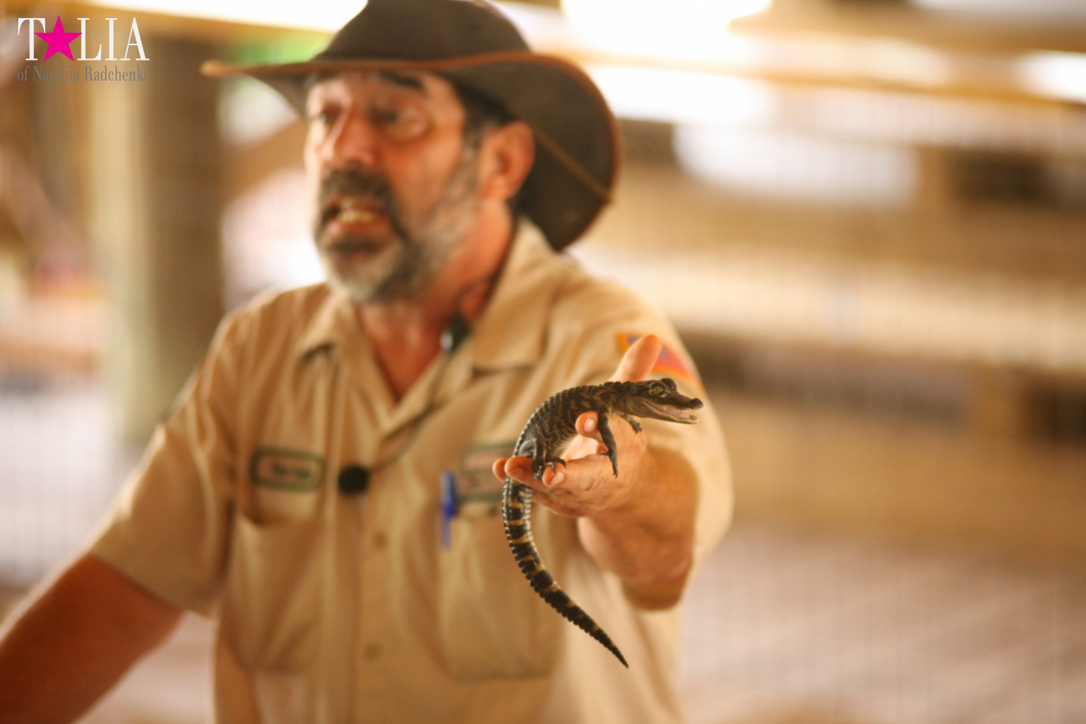 The show with crocodiles and other entertainments of Gator Park, Everglades, Miami