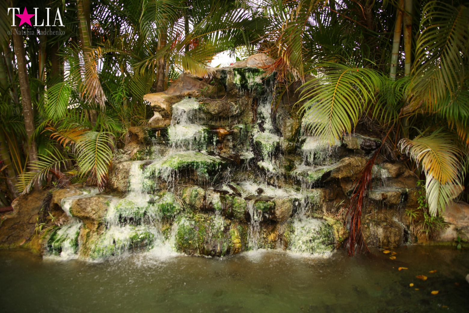 The show with crocodiles and other entertainments of Gator Park, Everglades, Miami